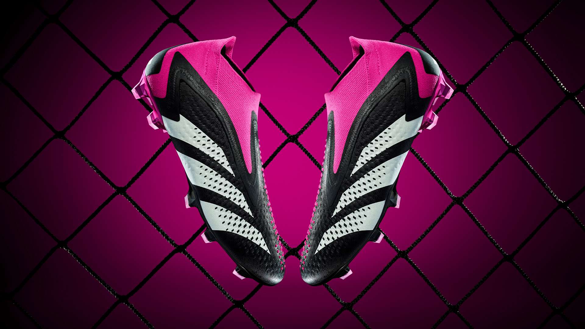 巴西与阿根 巴西与阿根