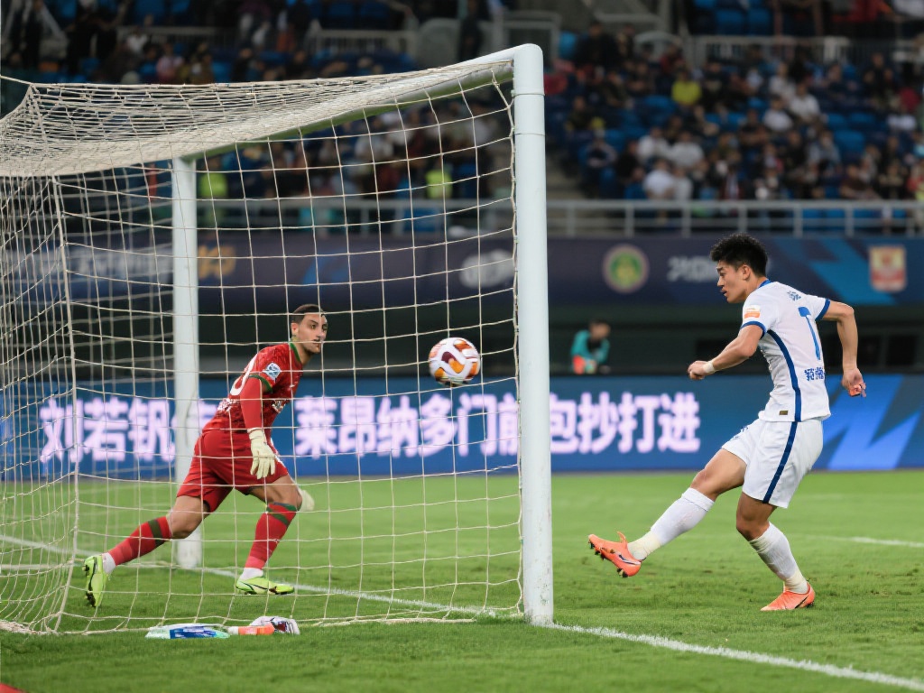 的腾飞贡献 的腾飞贡献